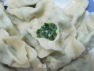 春天的美味----荠菜素饺子的做法步骤：10