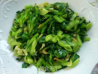 应季家常菜--虾皮菜心的做法步骤：6