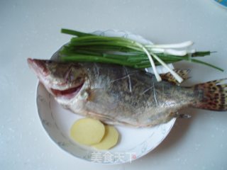 家常桂鱼的做法步骤：1