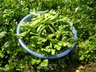 从地头到盘子--百分百绿色健康食疏 茼蒿变身记的做法步骤：2