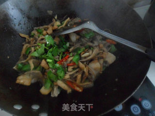 平菇炒肉片的做法步骤：8