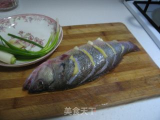 独家秘制非一般美味的飘香鲈鱼（肉滑嫩嫩味香飘飘） 我的秘系列三的做法步骤：5