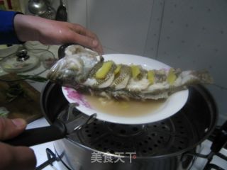 独家秘制非一般美味的飘香鲈鱼（肉滑嫩嫩味香飘飘） 我的秘系列三的做法步骤：9