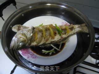 独家秘制非一般美味的飘香鲈鱼（肉滑嫩嫩味香飘飘） 我的秘系列三的做法步骤：10