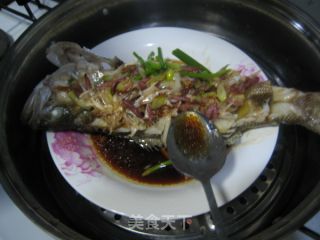 独家秘制非一般美味的飘香鲈鱼（肉滑嫩嫩味香飘飘） 我的秘系列三的做法步骤：13