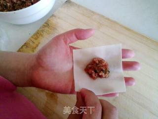 牛肉云吞的做法步骤：4