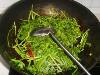 蒜蓉茼蒿的做法步骤：4