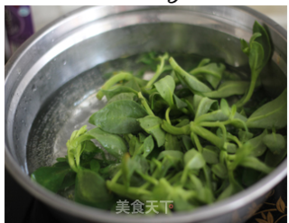 春天里的祛火野菜——姜末穿心莲的做法步骤：1