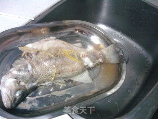 清蒸鲈鱼的做法步骤：4