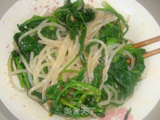 菠菜拌粉条的做法步骤：4