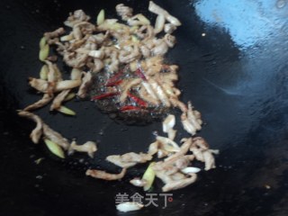 肉丝炒圆白菜的做法步骤：4