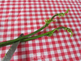 炒巴古【野生厥菜】的做法步骤：3