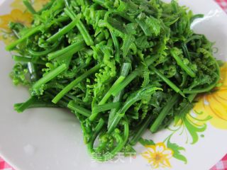 炒巴古【野生厥菜】的做法步骤：8