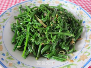 炒巴古【野生厥菜】的做法步骤：12