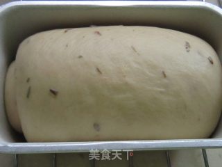 薰衣草中种吐司的做法步骤：7