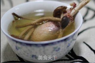 简单2步打造美味鲜汤——茶树菇土鸡汤（催乳御寒）的做法步骤：3