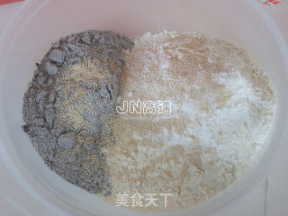 双色杂粮小餐包的做法步骤：2