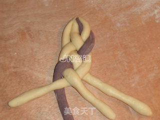 双色杂粮小餐包的做法步骤：8