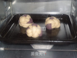 双色杂粮小餐包的做法步骤：11
