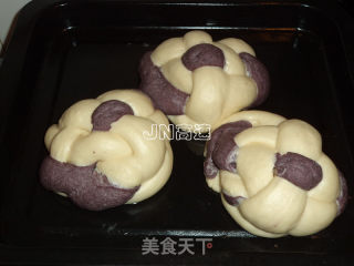 双色杂粮小餐包的做法步骤：12