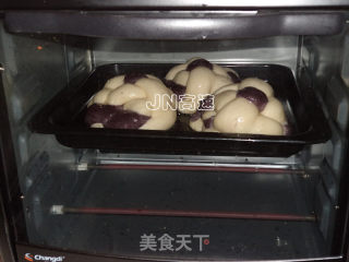 双色杂粮小餐包的做法步骤：14