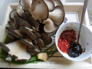 京酱平菇丝的做法步骤：1