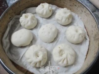 白白胖胖的------酸菜猪肉包子的做法步骤：18