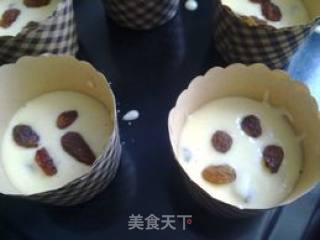葡萄干麦芬的做法步骤：6