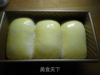 中种北海道吐司的做法步骤：13