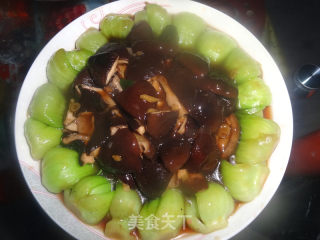 香菇醉油菜的做法步骤：8