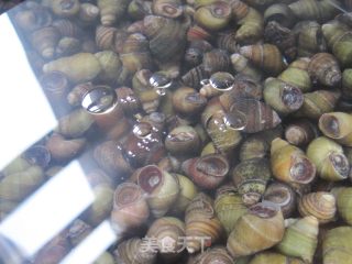 香辣田螺的做法步骤：2