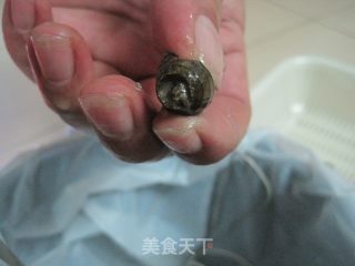 香辣田螺的做法步骤：6