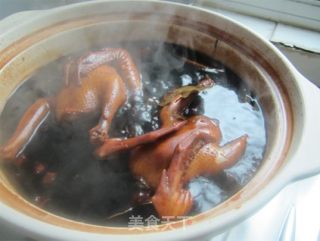 卤水乳鸽的做法步骤：10