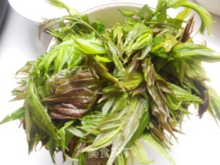 尝鲜啦——酥炸香椿鱼的做法步骤：3