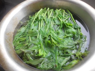 尝鲜啦——酥炸香椿鱼的做法步骤：4
