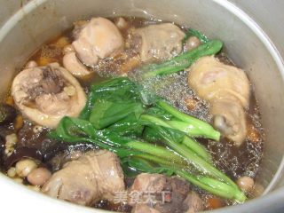 双仁莲子黑木耳炖鸡腿的做法步骤：11