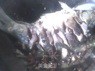 得莫利炖活鱼的做法步骤：9