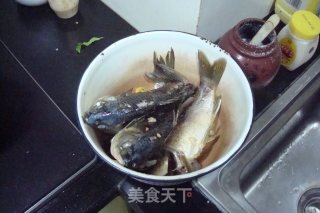 重庆葱烧鲫鱼的做法步骤：6