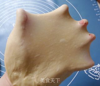 乌龟全麦包的做法步骤：3