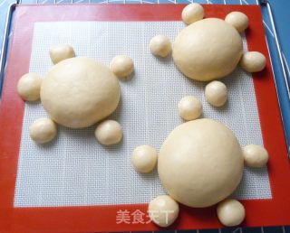 乌龟全麦包的做法步骤：8