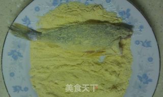 玉米面香煎黄花鱼的做法步骤：4