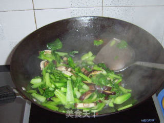 小白菜炒香菇的做法步骤：10