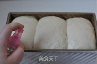 鸡蛋过敏？---无蛋的白吐司的做法步骤：8