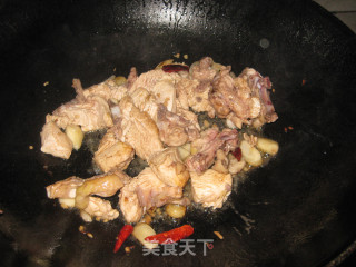 土豆烧鸡块的做法步骤：6