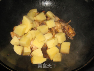 土豆烧鸡块的做法步骤：8