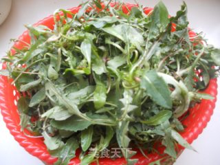 春来野菜香——蒲公英蒸着吃的做法步骤：1