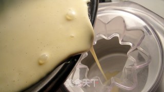 [SDS] 香草籽冰淇淋 Homemade Vanilla Ice Cream的做法步骤：7