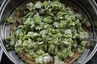 又到了吃【榆钱儿饭】的季节喽！的做法步骤：5