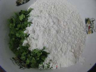 美味榆钱饼的做法步骤：4