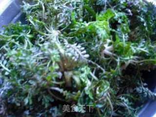 荠菜豆渣饼的做法步骤：1